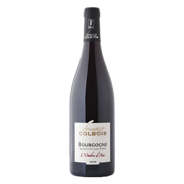 Bourgogne rouge "L'ombre d'âne" 2023